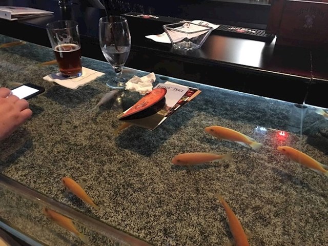 Ovaj bar na šanku ima ugrađen akvarij s ribama.