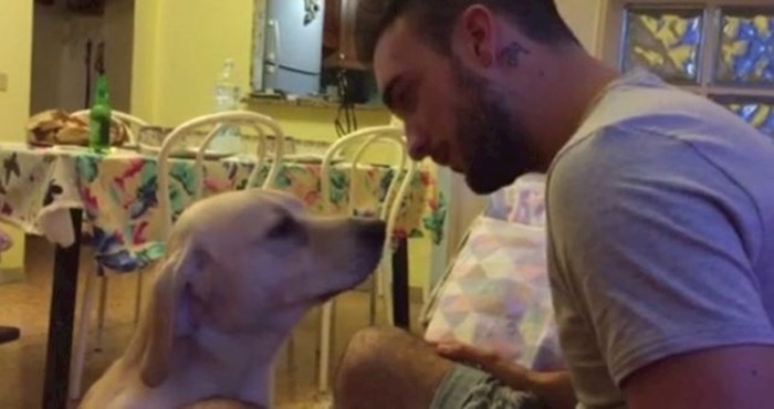 VIDEO Pas je znao da je kriv, njegova reakcija je vlasniku izmamila osmijeh na lice