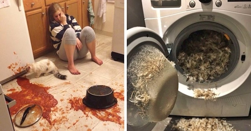 Dogodile su im se bizarne nesreće, pokazali su zbog čega će ovaj dan još dugo pamtiti