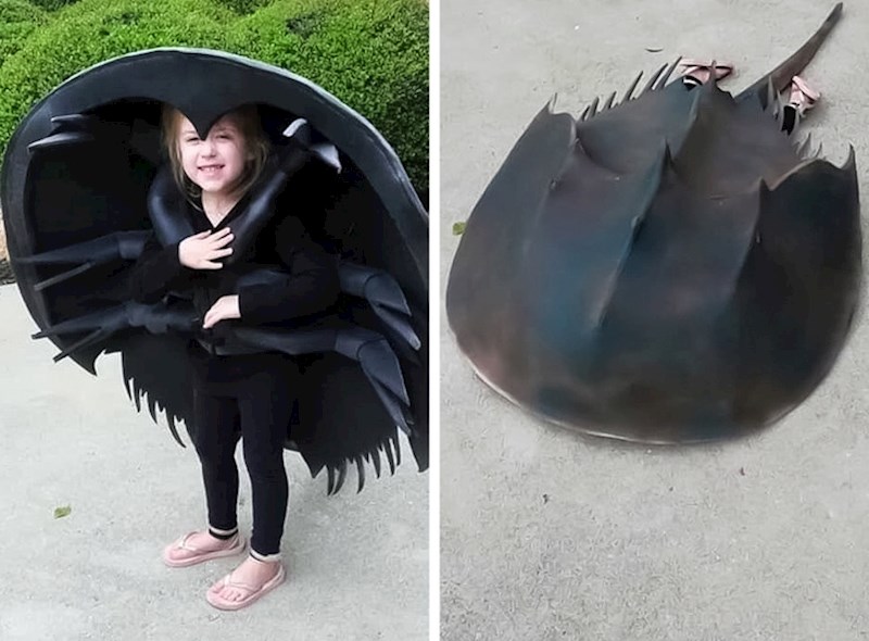 Za Noć vještica htjela je biti riba, i to ne bilo kakva. Pogledajte kakav je kostim dobila.