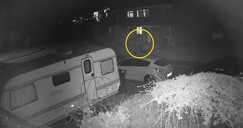 VIDEO Pregledavala je snimku noćne kamere pa ugledala jeziv prizor