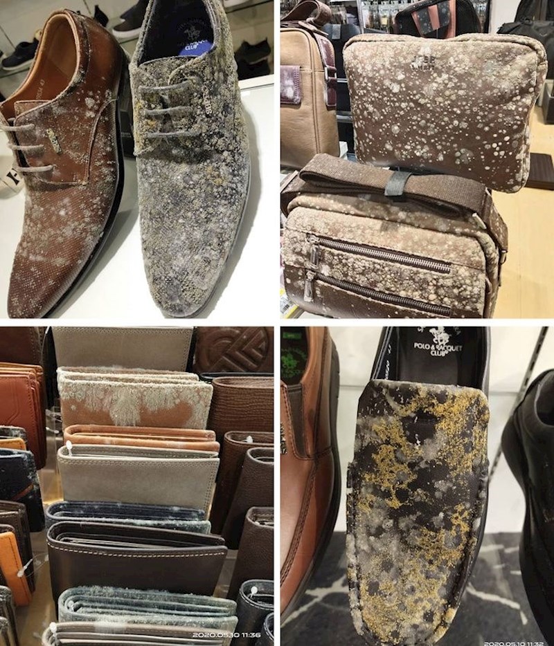 Evo što se dogodilo kožnim proizvodima u jednoj trgovini koja je 53 dana bila u karanteni. Razlog je velika vlažnost zraka i loša ventilacija.