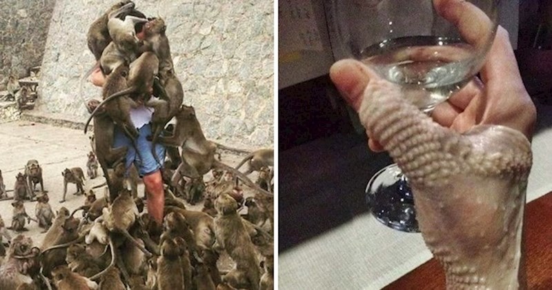 17 ekstremno čudnih fotografija koje su obišle svijet i svakoga bar malo uznemirile