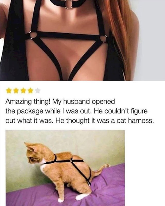 žena je napisala ocjenu za odjevni predmet koji je naručila preko interneta: "moj muž je otvorio paket dok sam bila vani. nije znao što je to, mislio je da je za mačku."