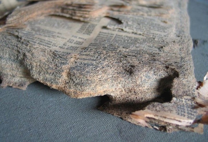 "Našla sam telefonski imenik star 20 godina, termiti su solidan dio pojeli."