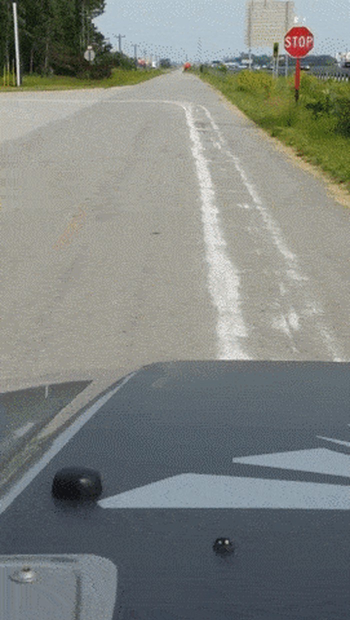 Na cesti su ugledali neobičan trag, začudit ćete se kad vidite što se zapravo dogodilo