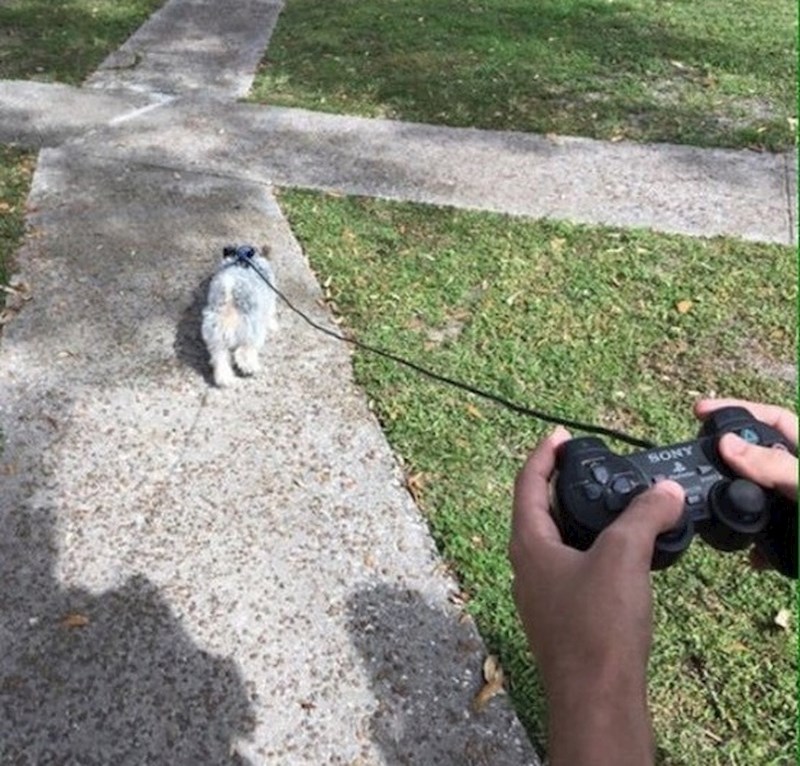Doggy PlayStation