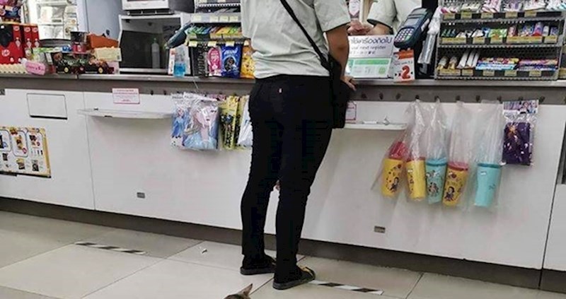 Dok je čekala u redu, osoba je ispred sebe vidjela prizor koji je morala slikati