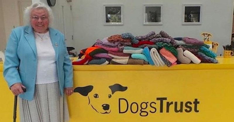 Ova baka isplela je 450 dekica za pse u azilu.