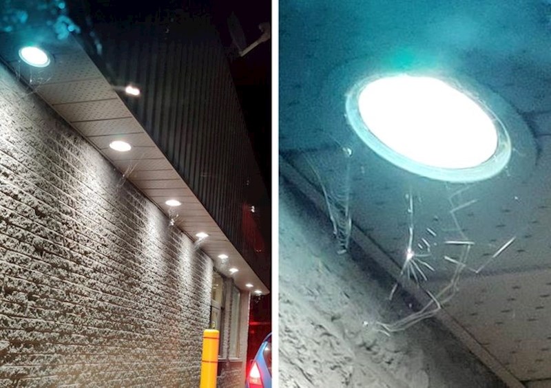 "Primijetio sam da pauci rade svoje paučine blizu svjetla kako bi ulovili što više 'plijena'."