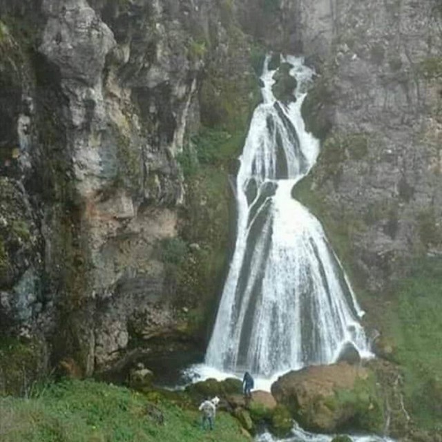 Upoznajte gospođicu Slapić.