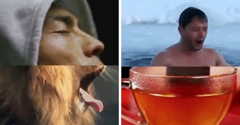 Zanimljivi prizori koji se međusobno savršeno upotpunjuju i izgledaju kao nešto sasvim drugo