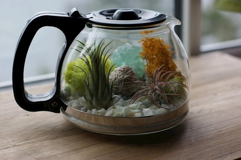 I stare stvari iz kuhinje se mogu pretvoriti u zanimljivu dekoraciju.