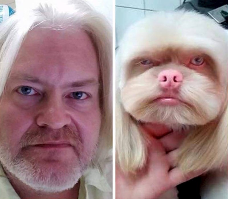 "Prijatelj mi je poslao fotku i napisao da izgledam kao ovaj pas."