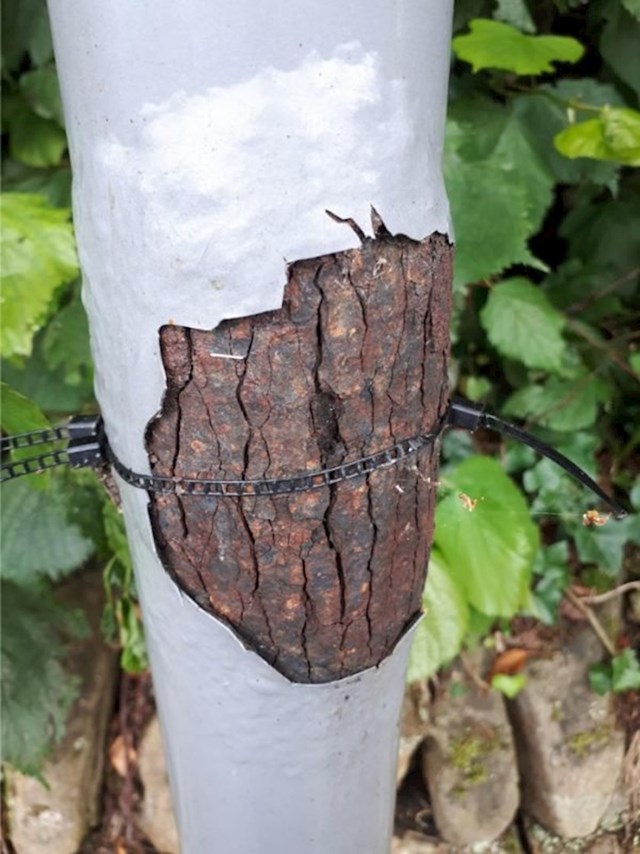 Hrđa na ovom stupu na autobusnoj stanici izgleda kao kora drveta.