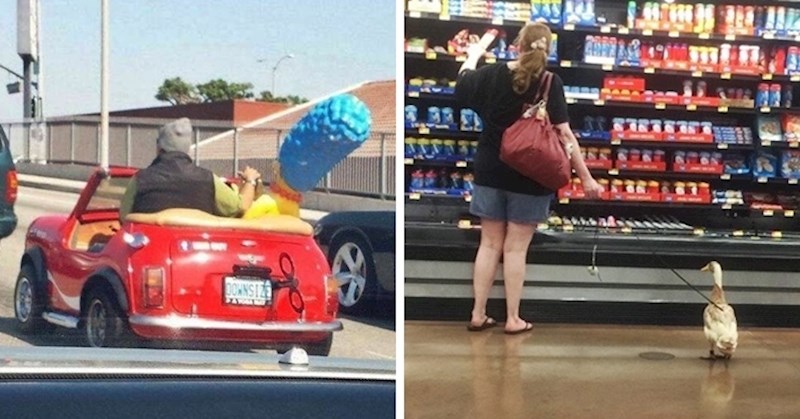 20 ljudi podijelilo je slike zanimljivih prizora na koje su slučajno naišli