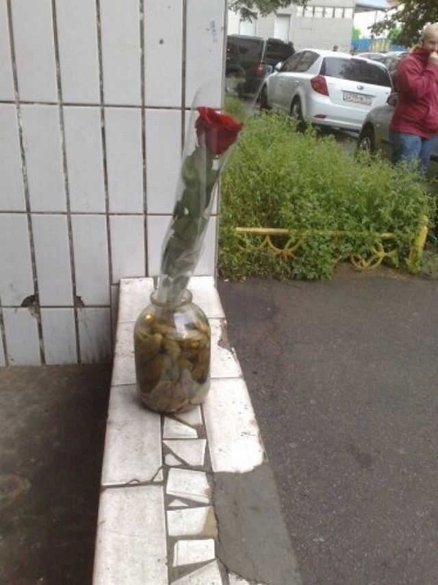 Ruže vole kisele krastavce?