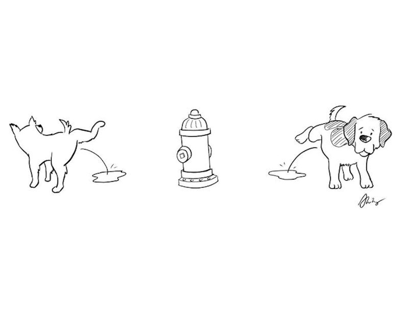 Pseća verzija socijalnog distanciranja