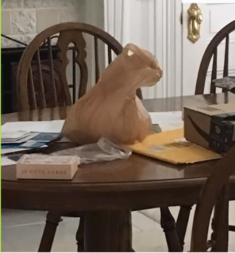 Vrećica koja izgleda kao mačka