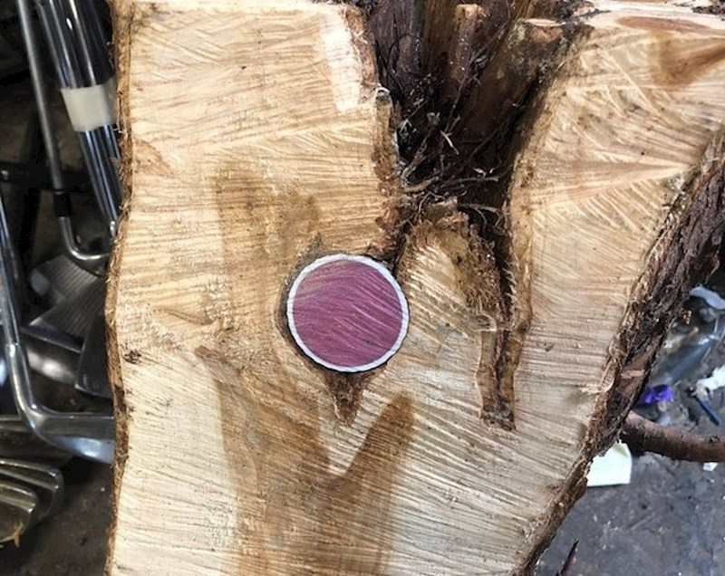 Pogledajte gdje je netko našao lopticu za golf.