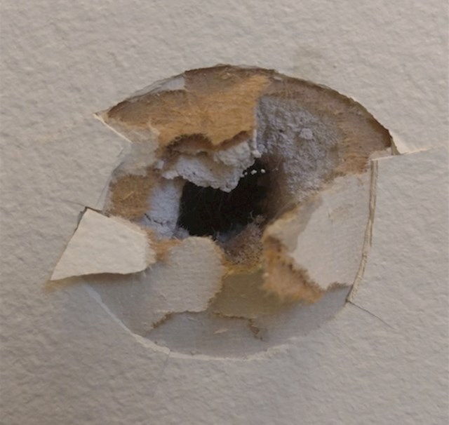 "Moj susjed je počeo pucati iz oružja, napravio je rupu u našem zidu."