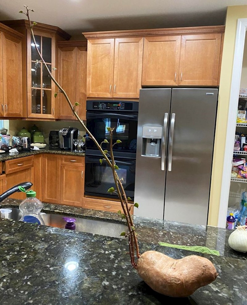 Evo što se dogodilo s krumpirom kojeg dugo nitko nije htio oguliti i pripremiti za ručak.