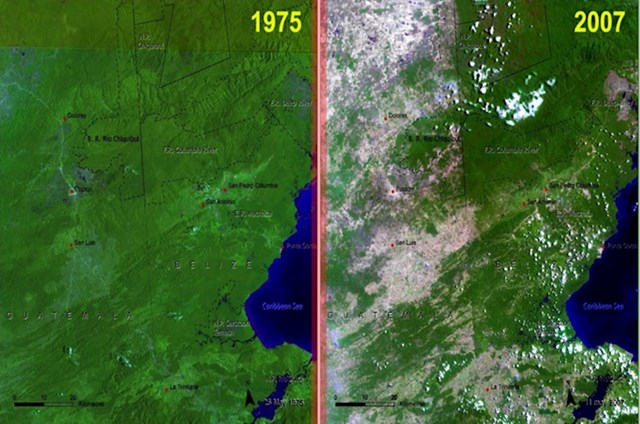 Rezultat sječe šuma u Guatemali