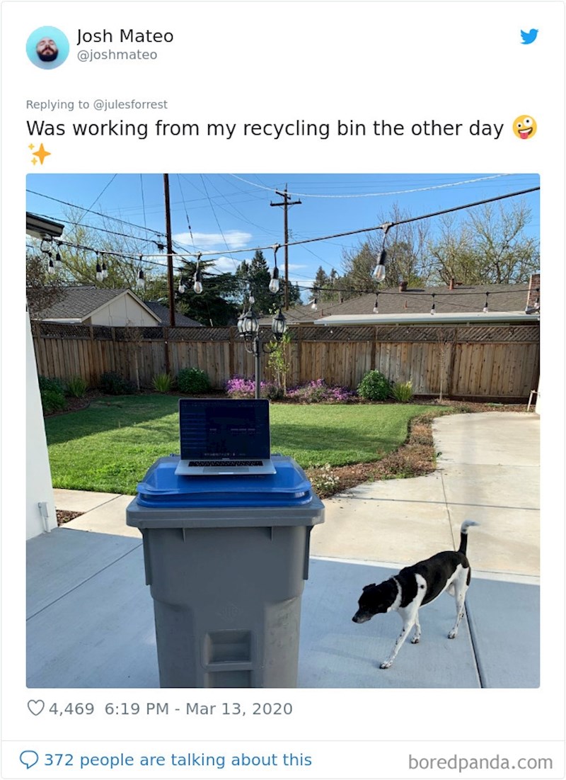 "Uredi" ljudi koji su joj odgovorili na objavu: