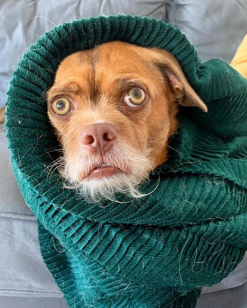 "Ne mogu vjerovati! Reci mi da se šališ!"