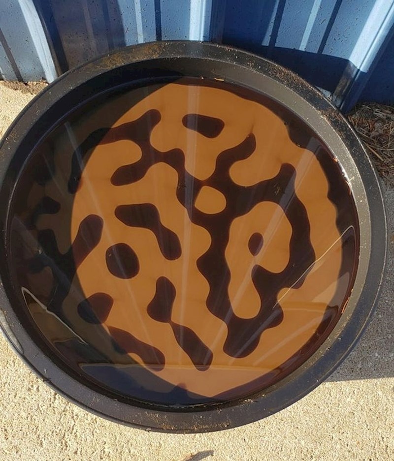 Što se dogodi kad posuda za pečenje puna ulja pokisne...