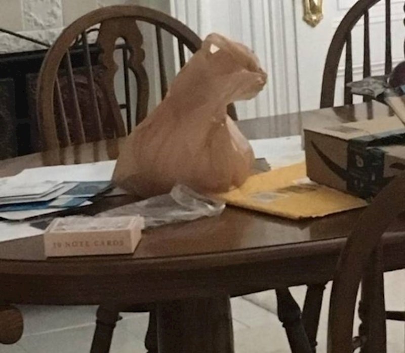 Vrećica koja izgleda kao mačka