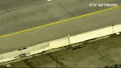 Kamera je snimila nevjerojatnu scenu, pogledajte kako su mama patka i pačići prešli autocestu