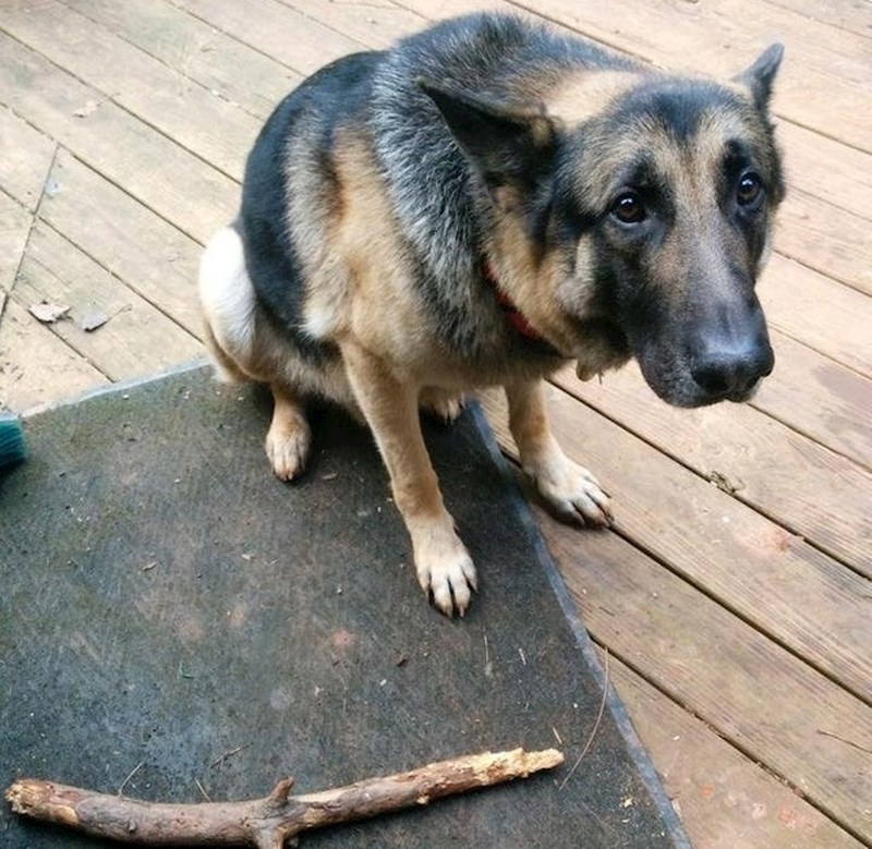 Kad je nakon "samo" dva sata vrijeme za igru gotovo.