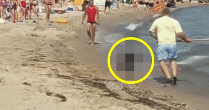 Do ove plaže je doplivao neočekivani gost koji nijednog turista nije oduševio