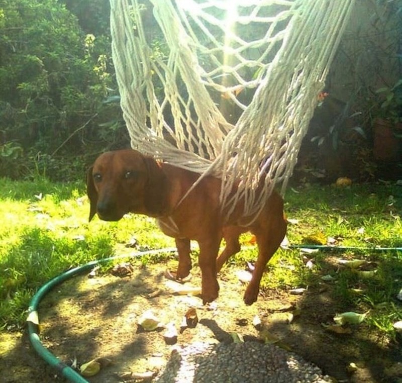 U njegovim očima se vidi da i sam zna da je napravio veliku pogrešku."