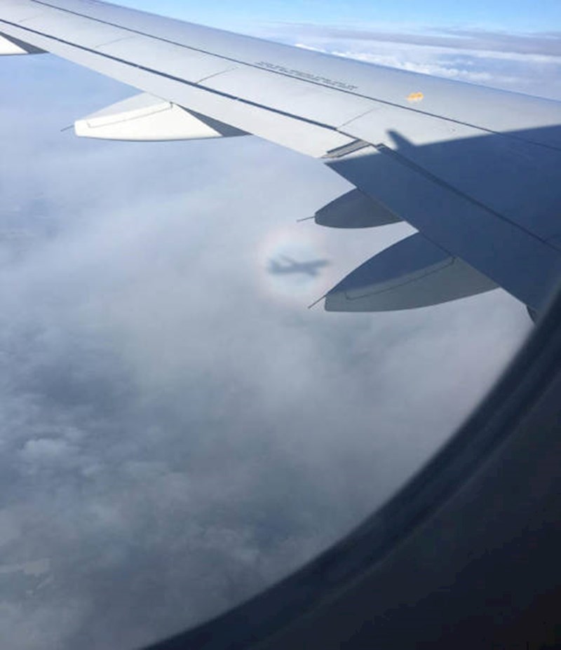 Putnik je primijetio da je sjena zrakoplova okružena dugom.