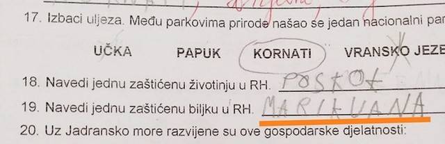 Evo što je napisalo: