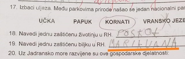 dijete je u testu moralo navesti jednu zaštićenu biljku, odgovor je iznenadio učiteljicu evo što je napisalo:
