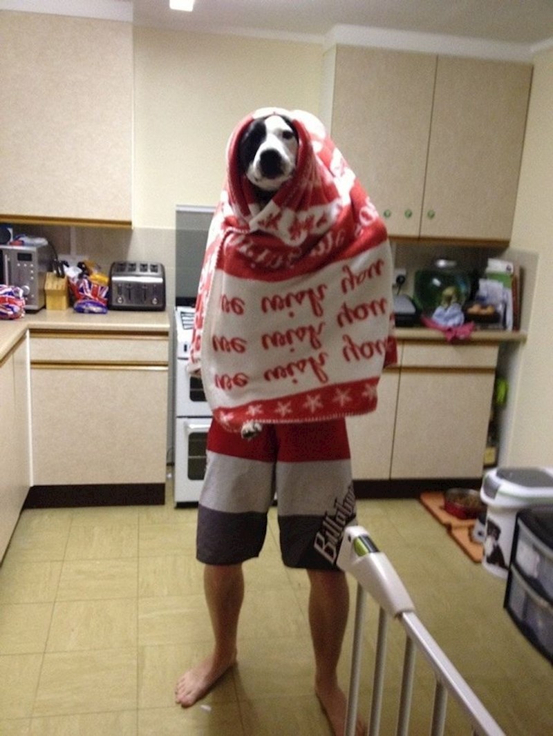 "Čula sam muža kako psu u kuhinji govori da ostane miran. Ušla sam i vidjela ovo..."