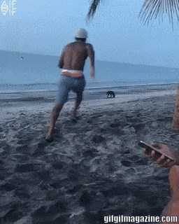 Muškarac trčao po plaži kako bi uplašio psa, no on i njegova ekipa su brzo uzvratili udarac