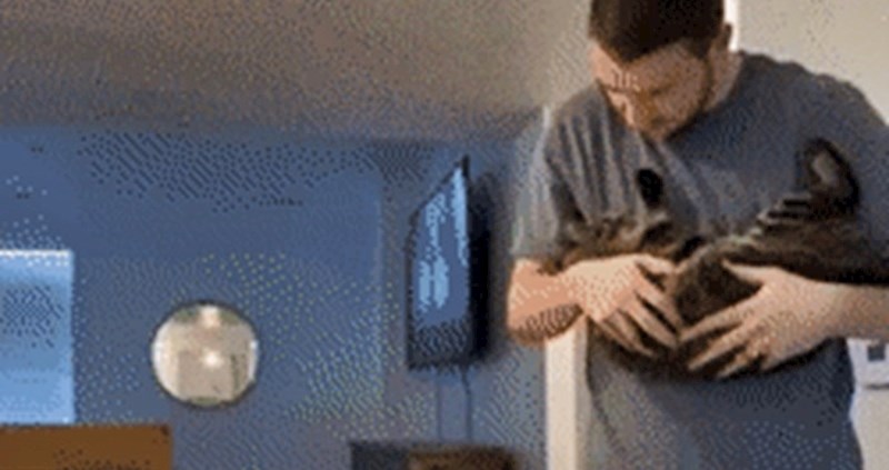 Lik je počeo bacati svoju mačku, jednu stvar nikako nije mogao shvatiti