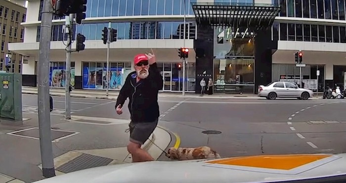 VIDEO Vozači su podijelili najčudnije prizore koje su snimili auto kamerama