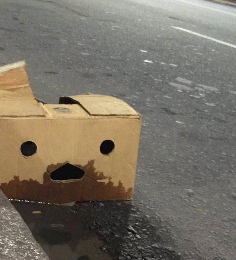 Ova žedna kutija nije mogla vjerovati svojim očima kad je vidjela toliko auta...