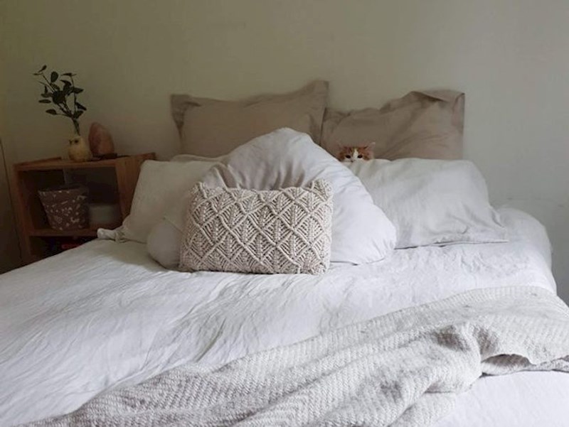 "Ovo je njegovo sigurno mjesto na koje pobjegne svaki put kad uključim usisavač."