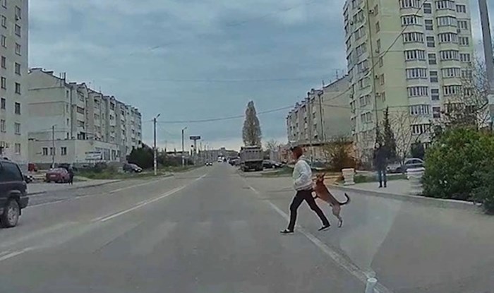 VIDEO Rus se zaustavio na pješačkom prijelazu pa snimio prečudnu scenu