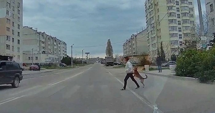 VIDEO Rus se zaustavio na pješačkom prijelazu pa snimio prečudnu scenu