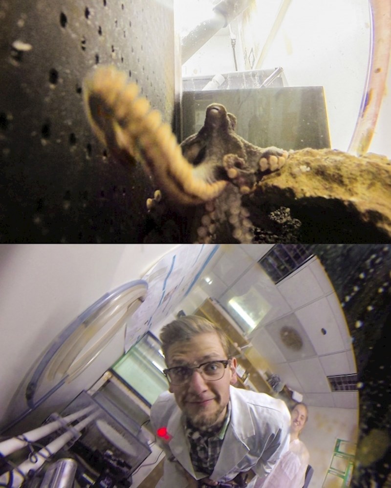 "Htio sam napraviti podvodnu sliku hobotnice. Ukrala mi je kameru i slikala mene."