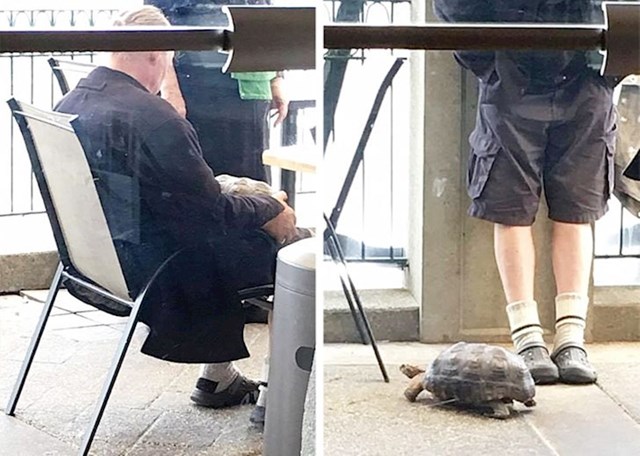 "Jednog dana je lik ušao u naš kafić i pitao jesu li životinje dozvoljene. Rekli smo da je, onda se vratio s kornjačom."