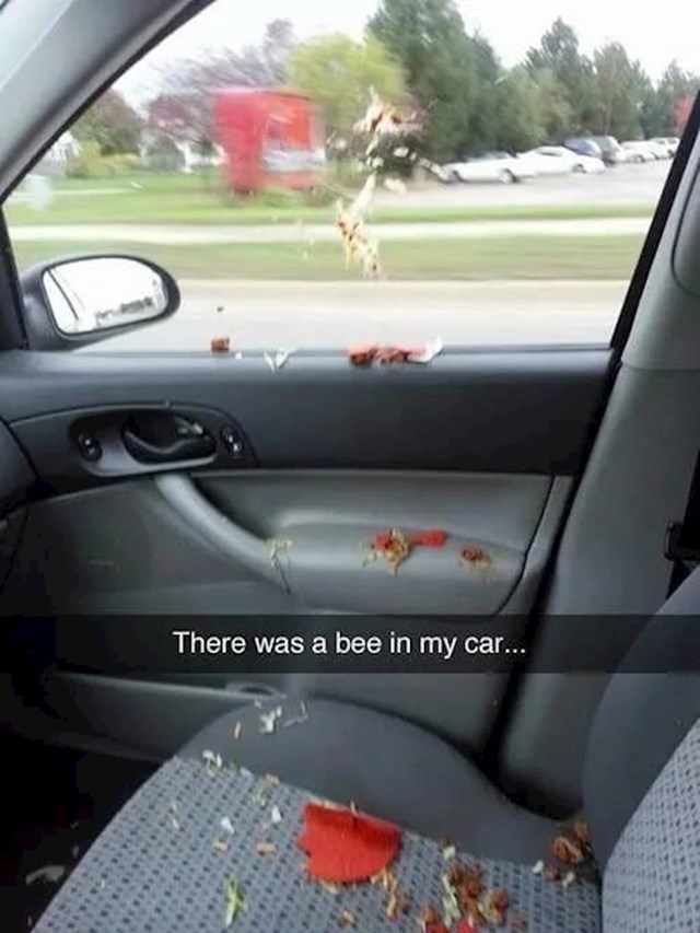 Pčela je uletjela u auto i stvorila paniku...