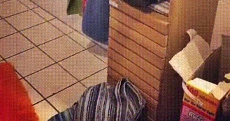 Žena nije shvaćala zbog čega su joj ručnici stalno srušeni dok nije snimila ovo